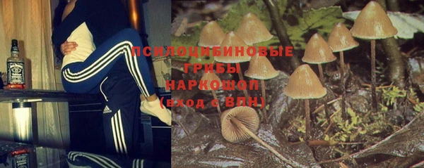 mdpv Арсеньев