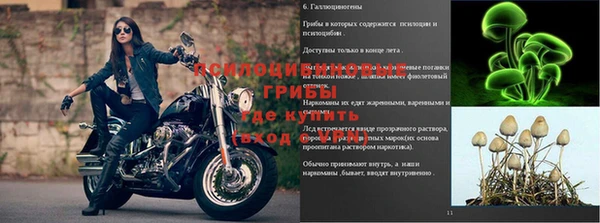 молекула духа Аркадак