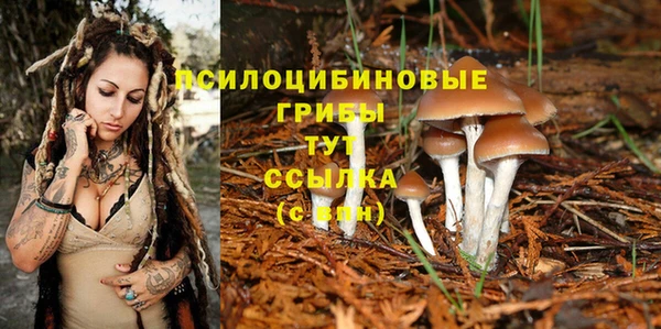 молекула духа Аркадак