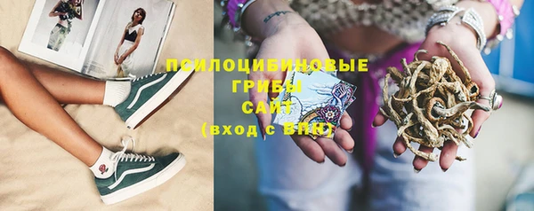 молекула духа Аркадак