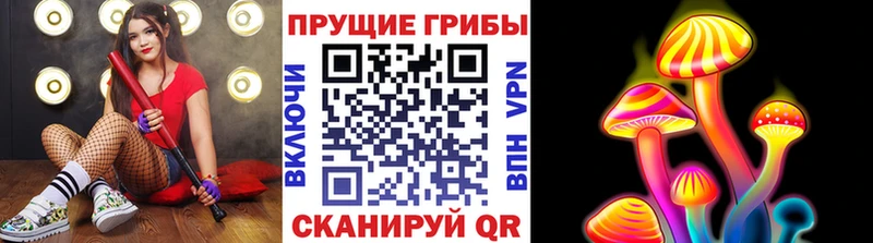 Псилоцибиновые грибы GOLDEN TEACHER  купить наркотик  Пучеж 